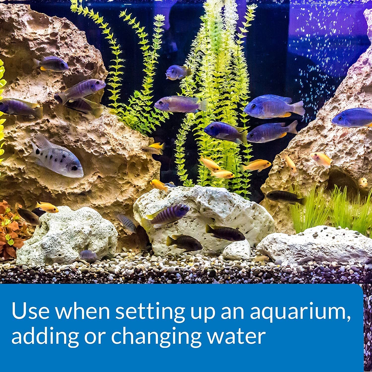 TAP Water Conditioner, Instantly Neutralizes Chlorine, Chloramines and Other Chemicals to Make Tap Water Safe for Fish, Highly Concentrated, Use When Adding or Changing Water and When Adding Fish.