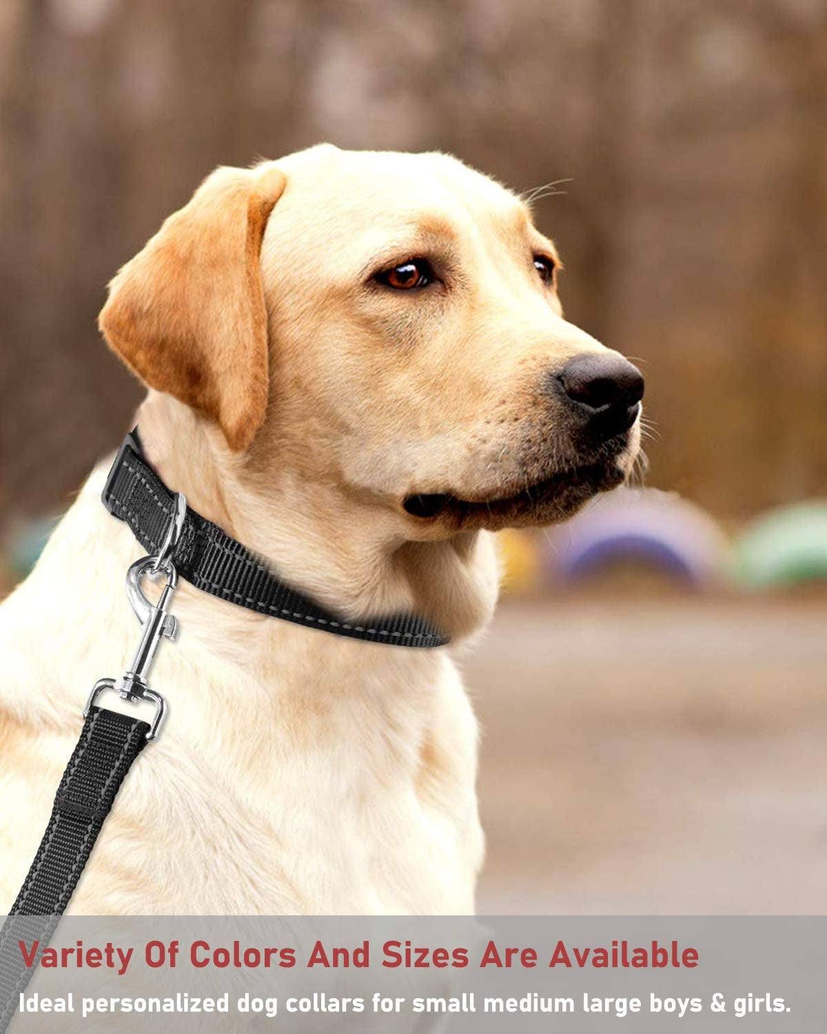 Reflective Dog Collar with Buckle Adjustable Safety Nylon Collars for Small Medium Large Dogs, Black S.