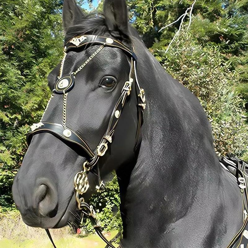 EquiElite™ PU Leather Horse Halter & Lead Rope Set – Premium Comfort, Total Control.
