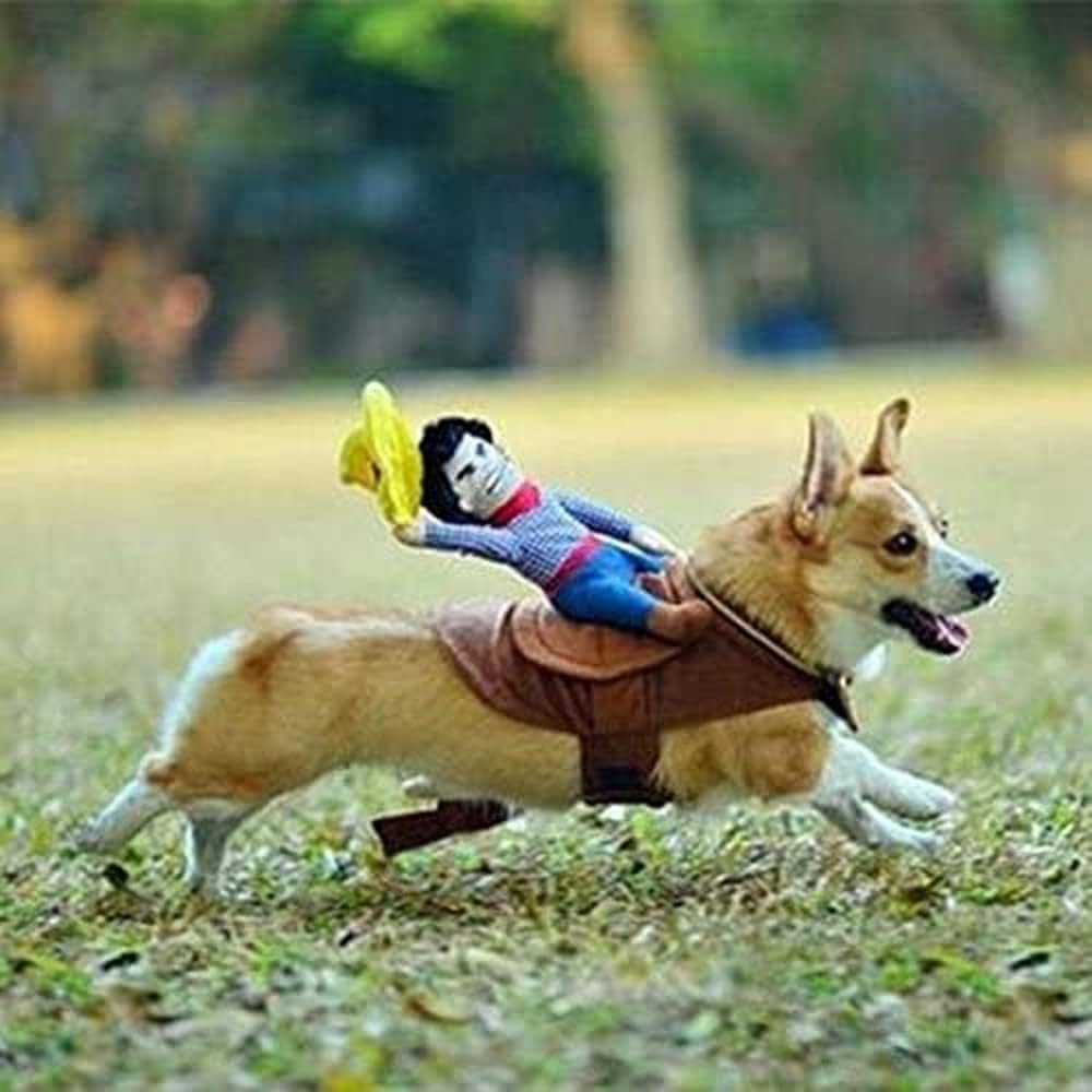 Dress Your Pet in Style: Hilarious Halloween Cowboy Costume for Dogs and Cats - Perfect for Parties and Cosplay (X-Large).