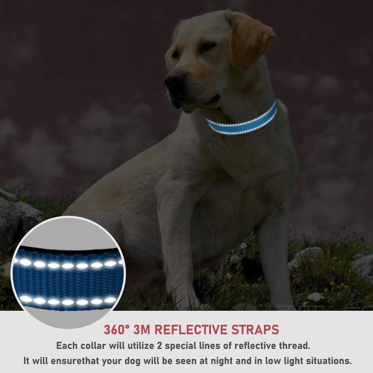Reflective Dog Collar with Buckle Adjustable Safety Nylon Collars for Small Medium Large Dogs, Blue XL.
