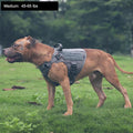 Tactical Dog Harness, Medium Size,2X Metal Buckle,Working Dog MOLLE Vest with Handle,No Pulling Front Leash Clip,Hook and Loop Panel (Grey,M (Pack of 1)).